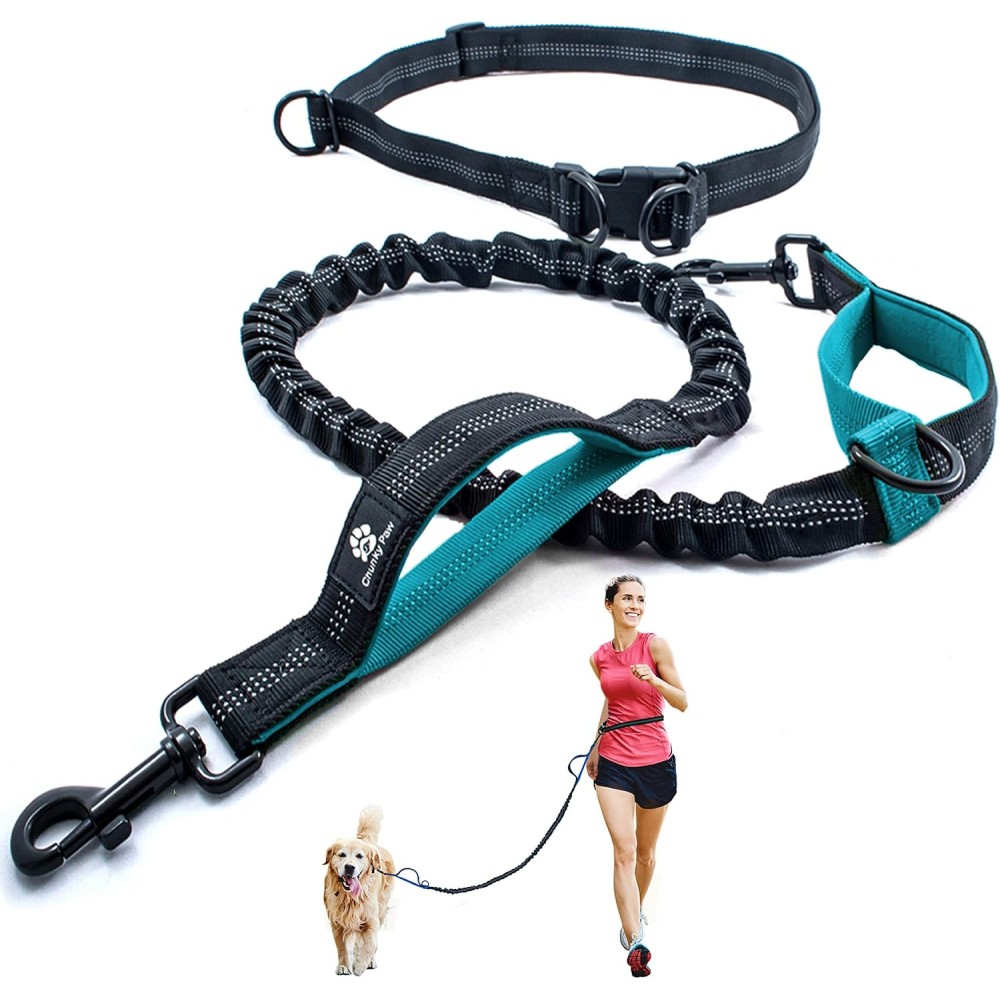 Correa perro Chunky-Paw Correa perro Chunky-Paw