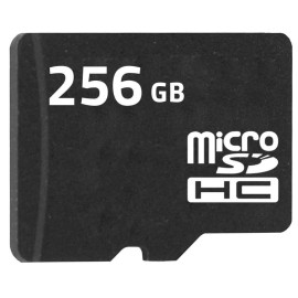 Micro Sd STANDAR 256gb CLASE 10