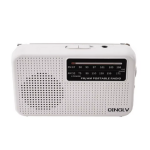 Radio Qinglv QL-09 
